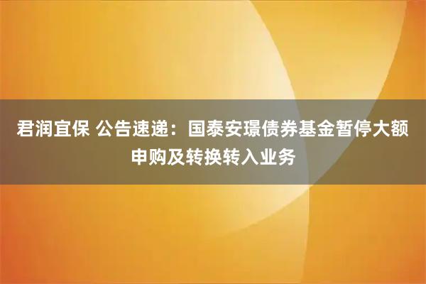 君润宜保 公告速递：国泰安璟债券基金暂停大额申购及转换转入业务