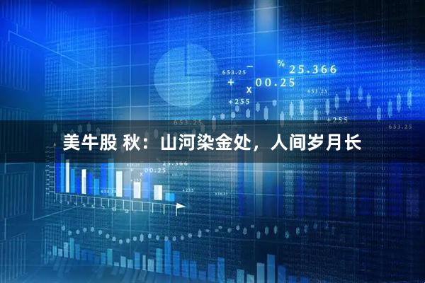美牛股 秋：山河染金处，人间岁月长