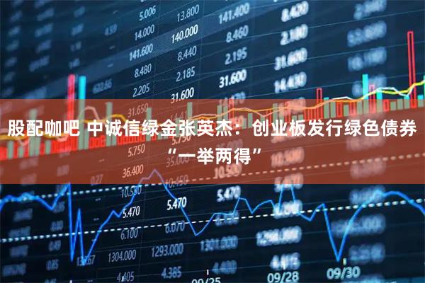 股配咖吧 中诚信绿金张英杰：创业板发行绿色债券“一举两得”