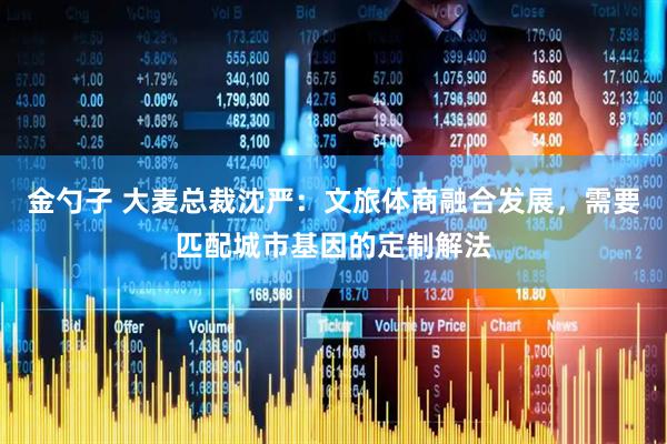 金勺子 大麦总裁沈严：文旅体商融合发展，需要匹配城市基因的定制解法